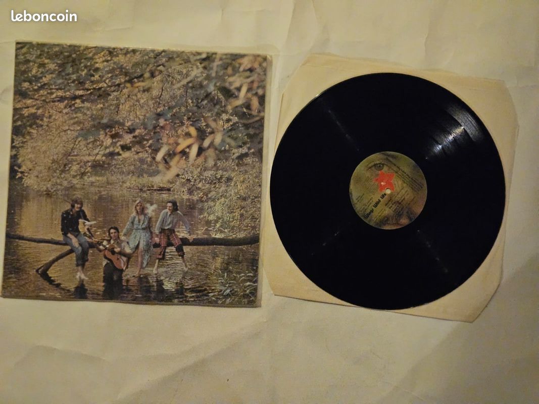 Disque vynile (image 1)