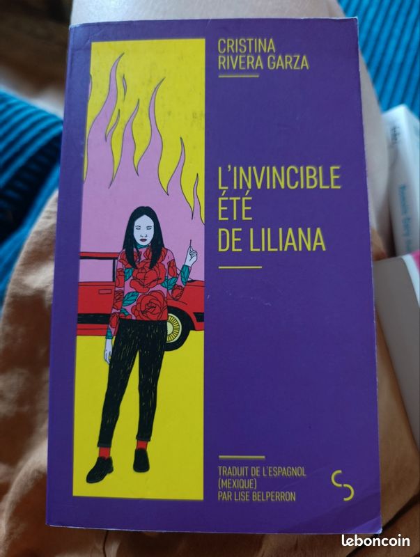 L'invincible été de Liliana (image 2)