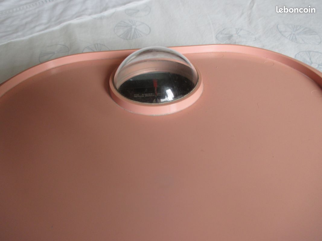 PÈSE PERSONNE MÉCANIQUE TERRAILLON T pro plus EUR 59