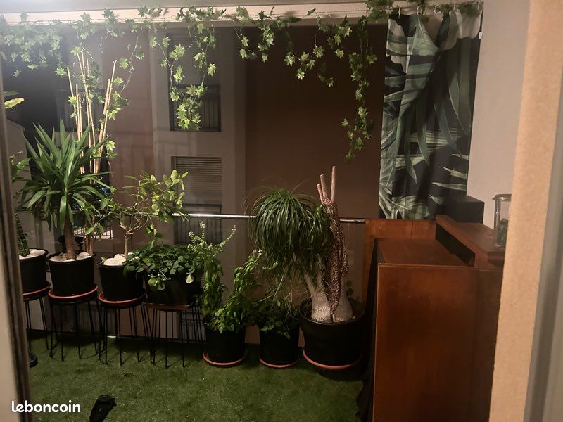 Comme à la maison (image 4)