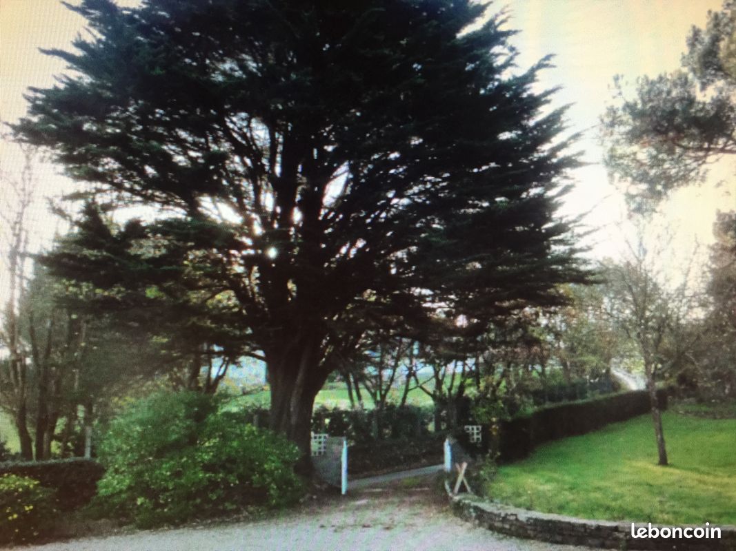 Maison familiale au Logeo, donnant sur le Golfe du Morbihan (image 14)