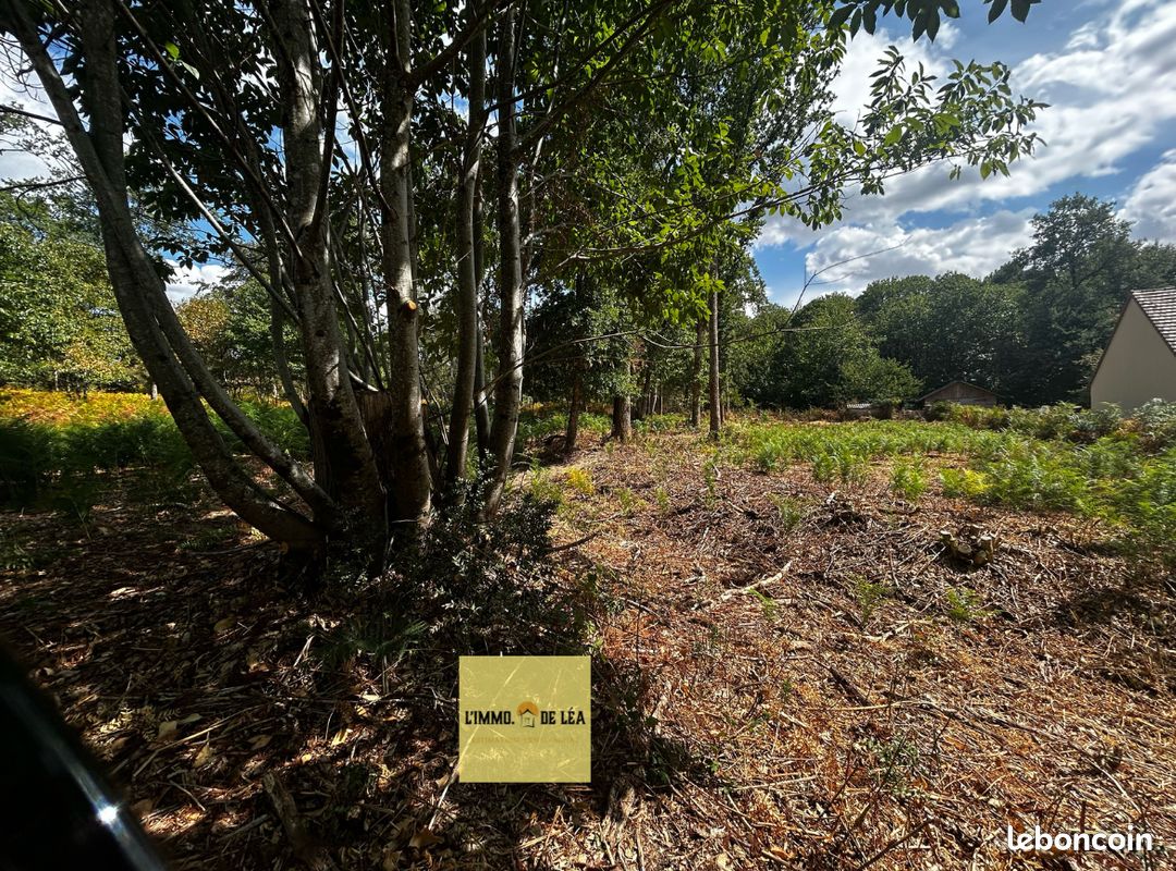 Terrain 1661 m² · à Saint-Benoît-la-Forêt · 1 661 m² · 45 000 €