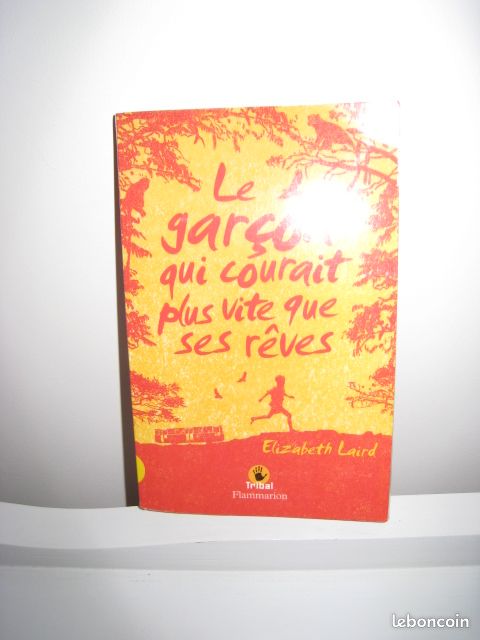Le garçon qui courant aussi vite que ses rêves (image 5)