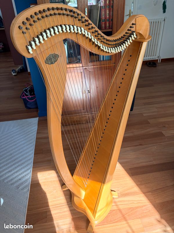 Harpe Celtique Mélusine de concert Camac (image 1)