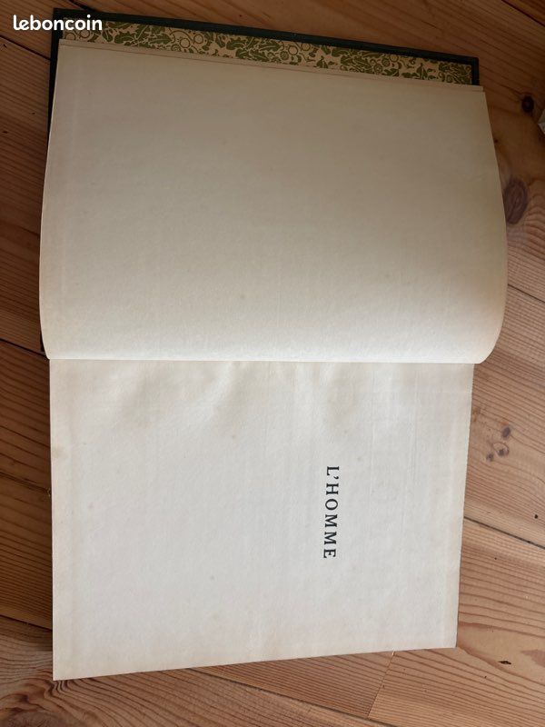 Livre Ancien Histoire Naturelle L’Homme (image 6)