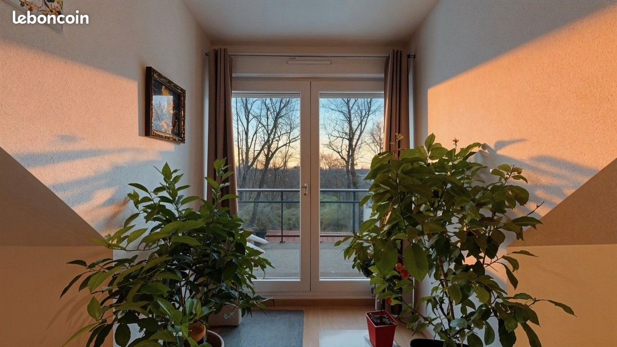 Appartement 3 pièces 72 m² · à Dettwiller · 72 m² · 770 €