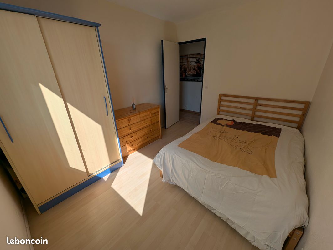 Appartement T3-T4 style Loft étage élevé allée de la Pelouse Grenoble 38100 (image 15)