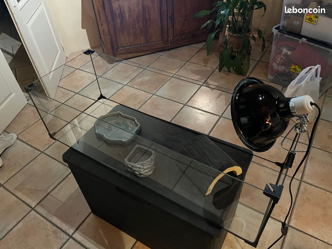 Terrarium 100x40x30 (image 1)