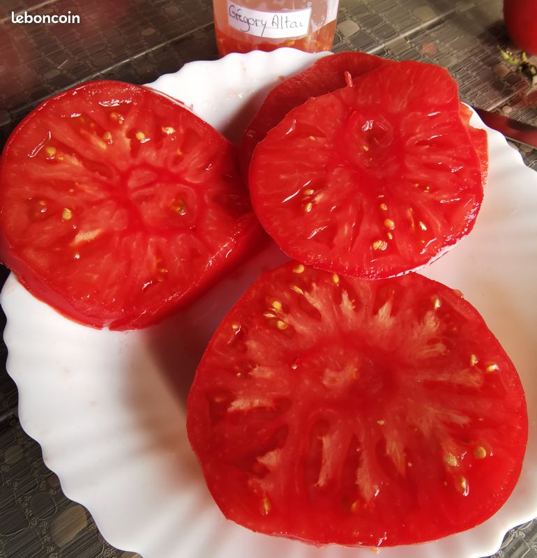 Graines de Tomate Gregory Altaï reproductibles saison 2024 (image 1)