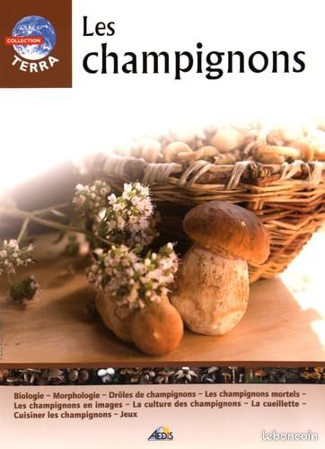 T11 - Les Champignons (image 1)