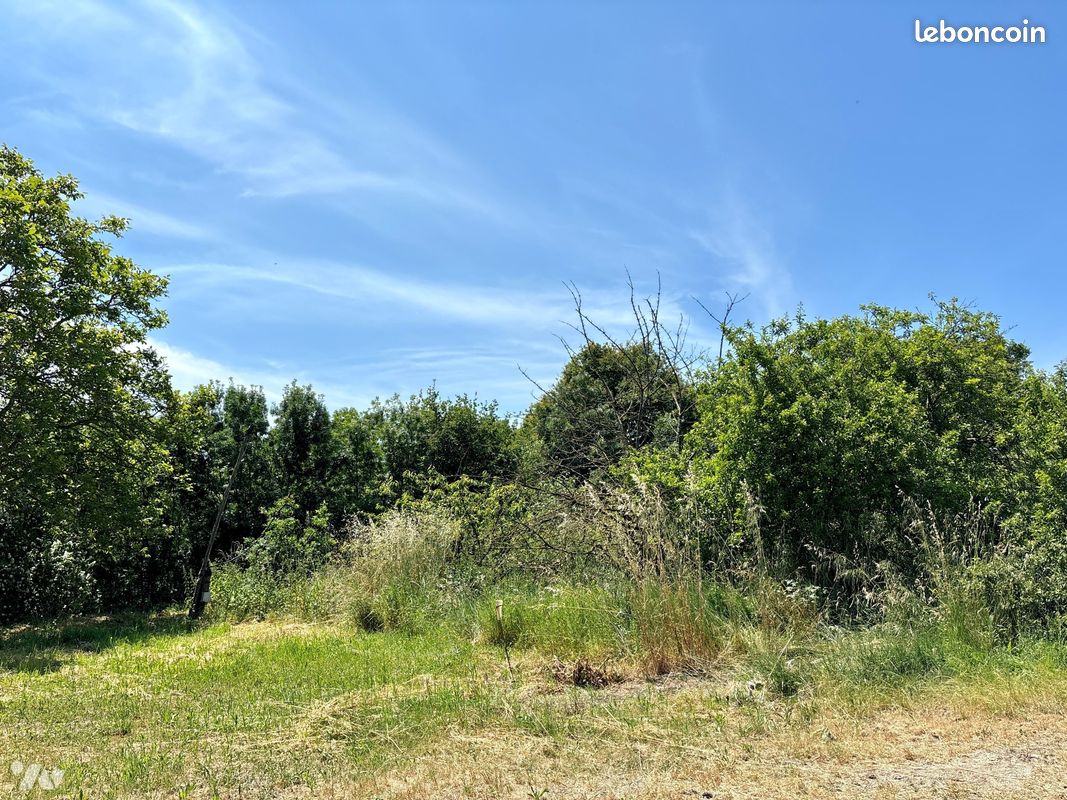 Maison 6 pièces 131 m² (image 8)