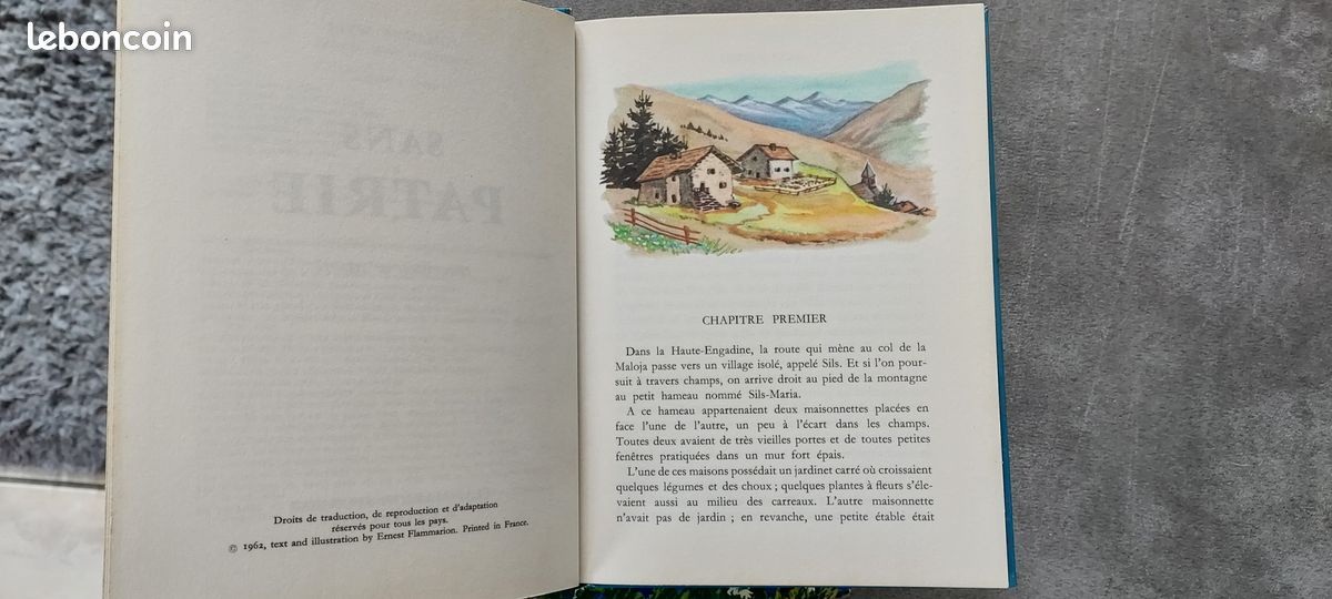 Lot 6 livres Heidi Flammarion (image 3)