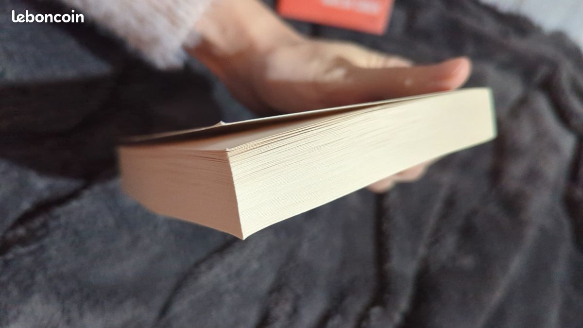 Livre Ne regarde pas, de Michelle Gagnon (image 7)