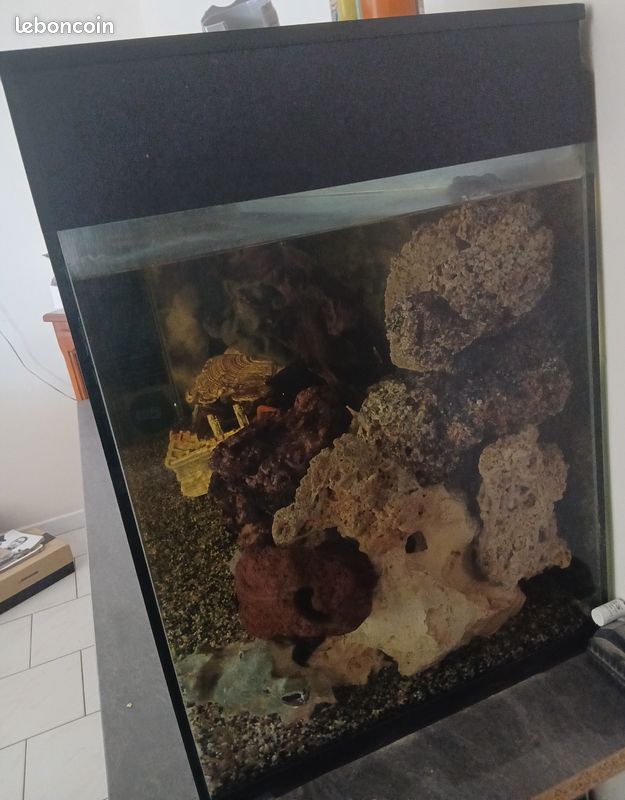 Aquarium 550 litres (image 2)