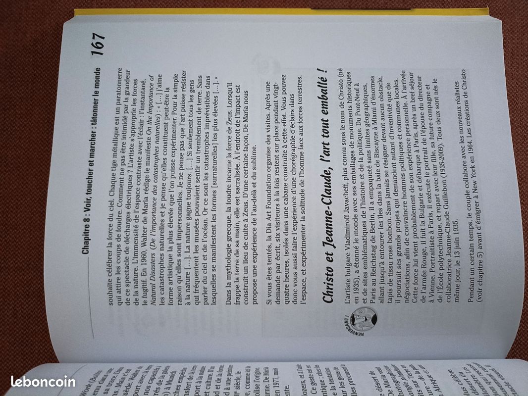 L'art contemporain pour les nuls (image 5)