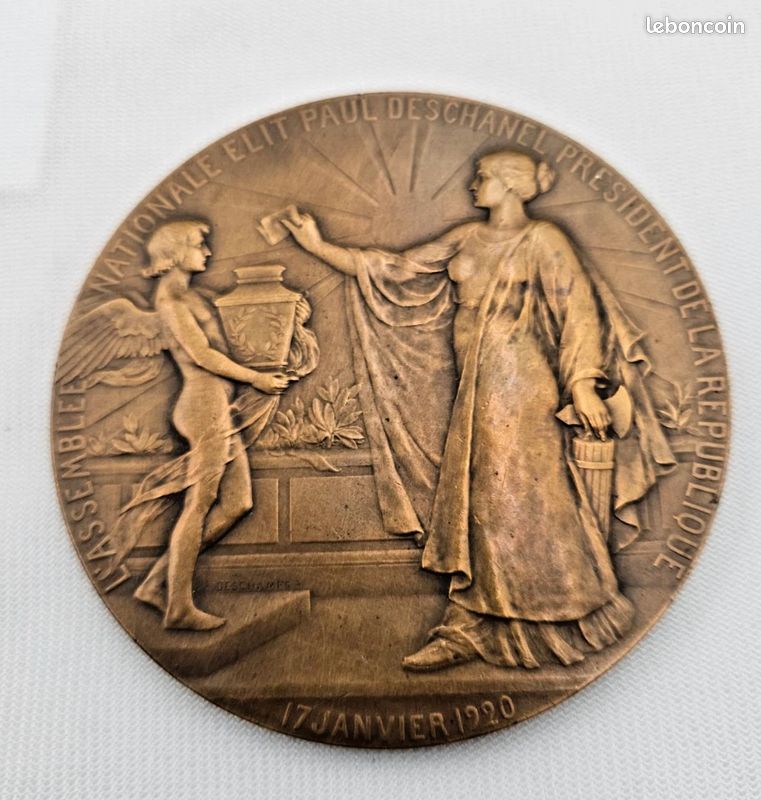 CONSTITUTION - ASSEMBLÉE NATIONALE Médaille du député Lafayette fme_500447 Médailles