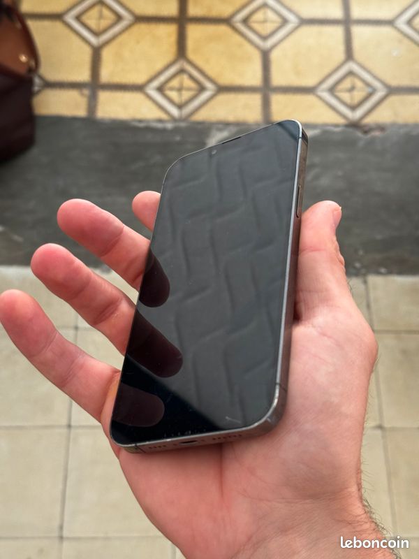 IPhone 13 Pro Max (image 3)