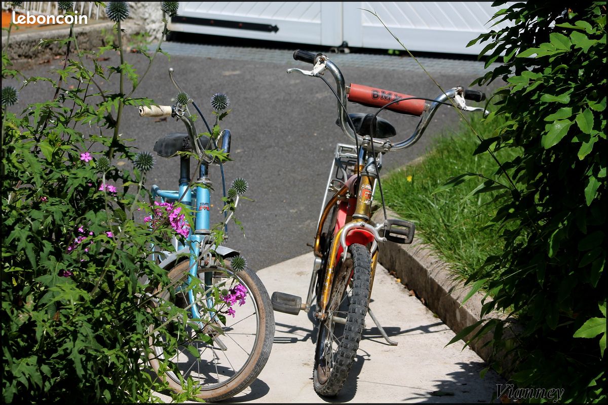 Collection de vélo (image 1)