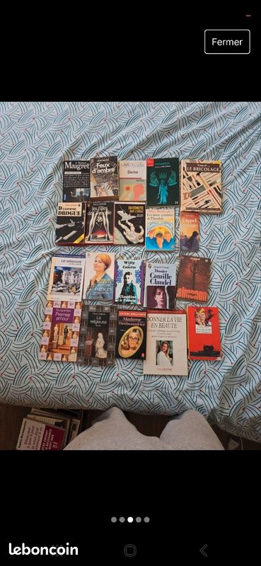 Lot de livres(1carton) (71 différentes tailles) (image 3)