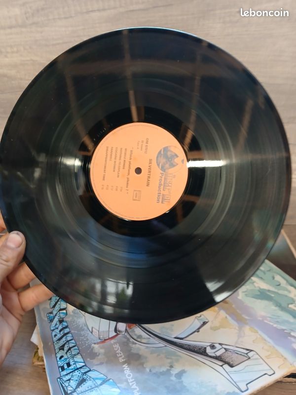Vinyle sylvertrain bon etat (image 6)