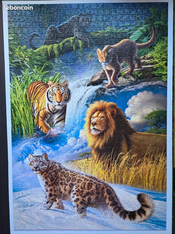 Puzzle 1000 pièces Castorland - Big Cats (Félins / Lion, Tigre, Léopard) (image 2)