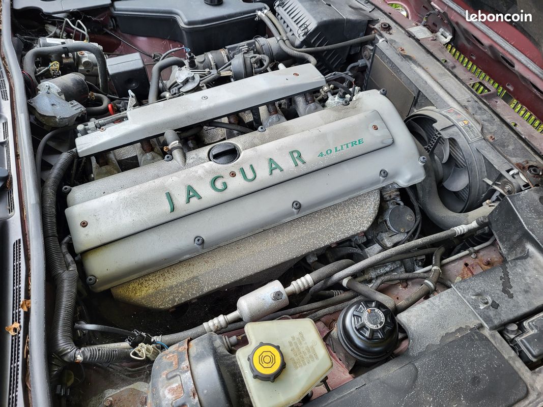 Jaguar sovereign (image 4)