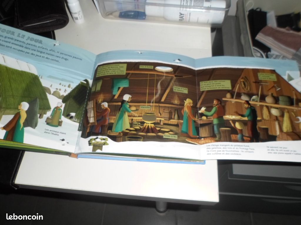 Kididoc les Vikings (image 2)