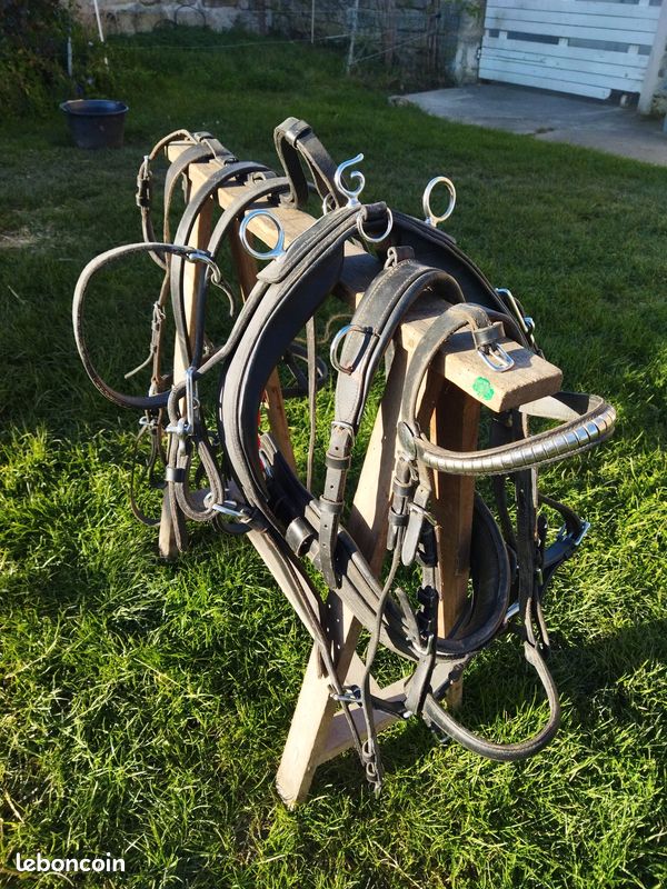 Quincaillerie En Laiton Pour Selle De Harnais De Poney - Occasion - 918244