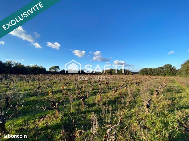 Terrain 10727 m² LE PIN