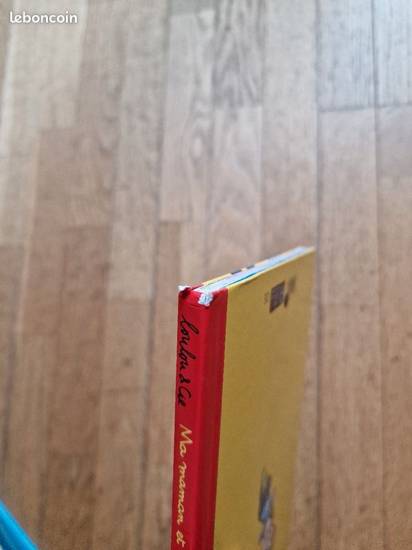 Livre jeunesse Ma maman et mon papa ils sont magiciens (image 5)