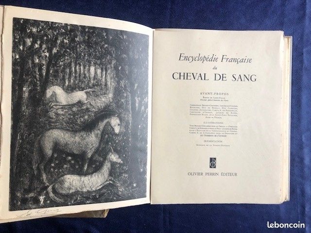 Equitation - Encyclopédie du Cheval de Sang - 1951 (image 3)