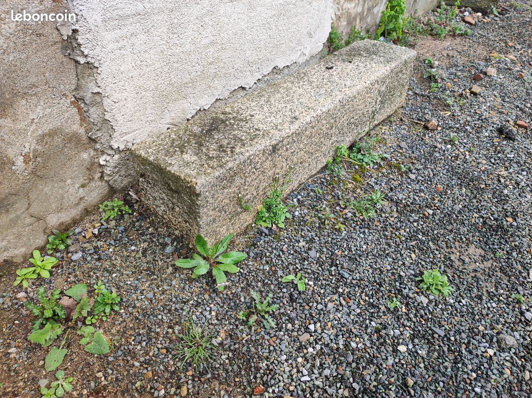 Moellons granit jaune (image 1)