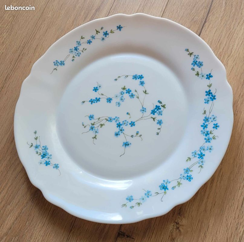 Plat arcopal (image 1)