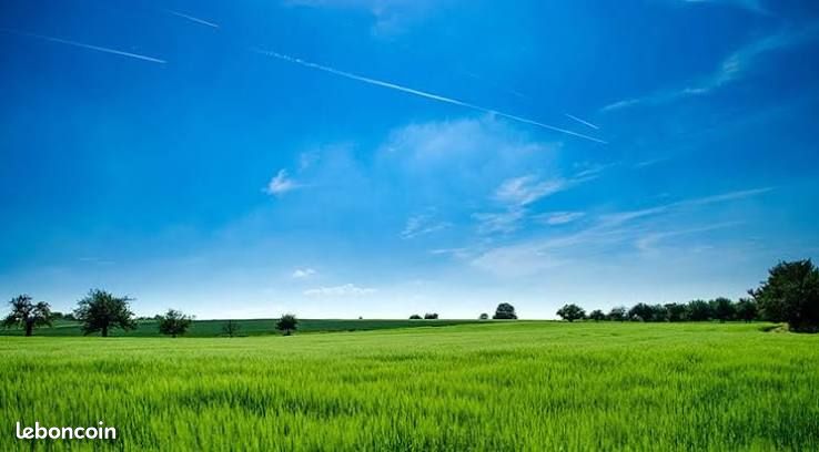 Terrain constructible 1500 m² · à Bettendorf · 156 000 €