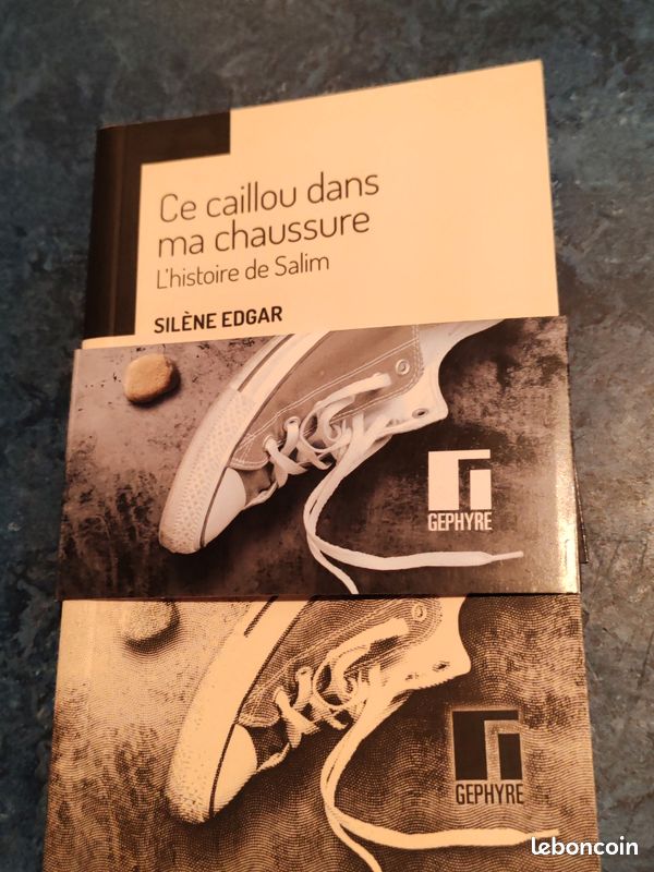 Ce caillou dans ma chaussure (image 1)
