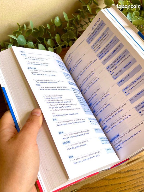 Le Robert & Collins collège anglais neuf dictionnaire (image 8)