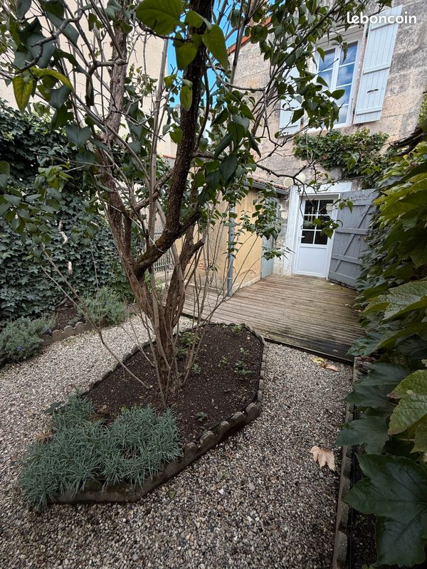 Charmant triplex avec patio arboré (image 8)