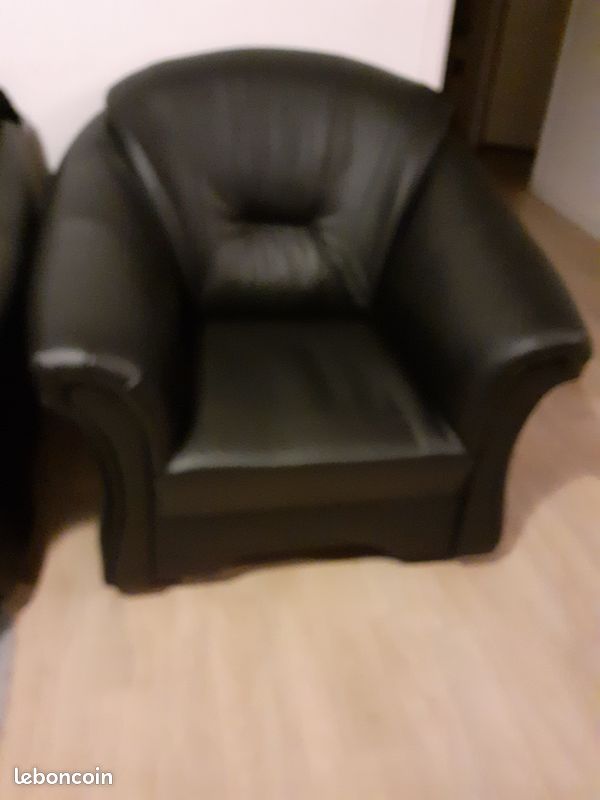 Fauteuils en cuirs (image 1)