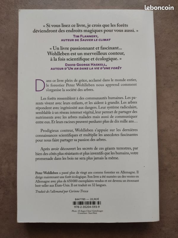 La vie secrète des arbres (image 3)