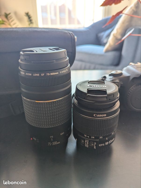Appareil Photo Reflex Canon EOS 2000D + Objectif EF-S 18-55 mm f/3.5-5.6 IS II + Objectif EF 75-300 mm f/4-5.6 III + Sac de rangement (image 2)