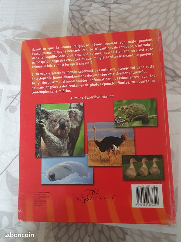 Nounou (image 3)