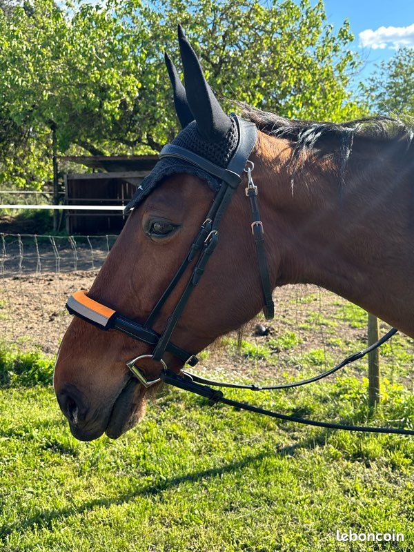 Filet dyon cheval (image 6)