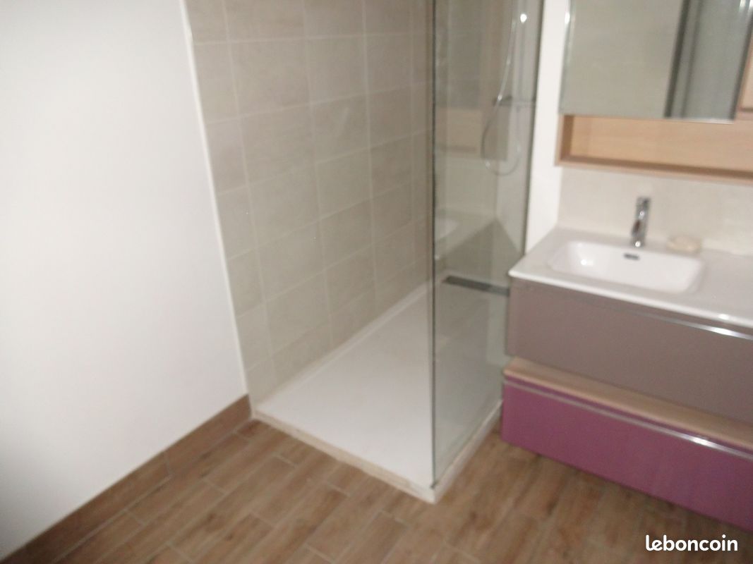 T3 - Centre villes Limoges - Limoges 87000 Centre-Hôtel de Ville Emailleurs (image principale 1)