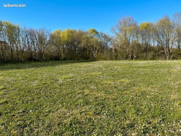 Terrain 2 020 m² Loulay