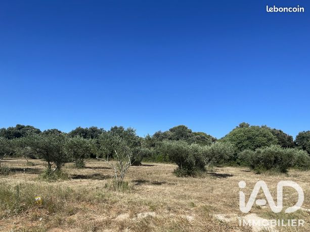 Terrain 1764 m² Saint-Siffret