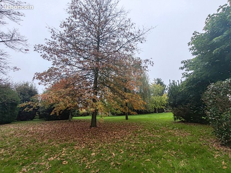 Maison 12 pièces 334 m² (image 18)