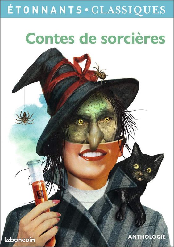 Livre "Contes de sorcières" Etonnants Classiques ANTHOLOGIE Collège (image 1)