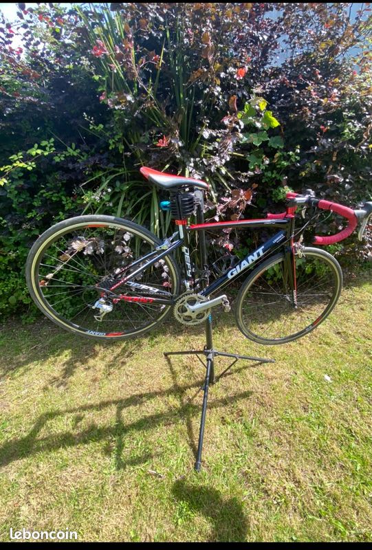 Velo de route giant defy (image 4)