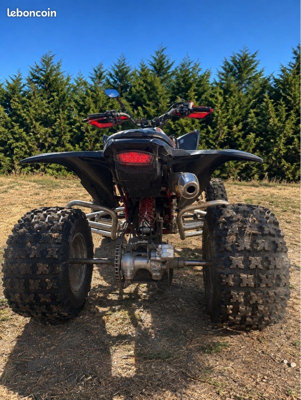 250 raptor (image 2)