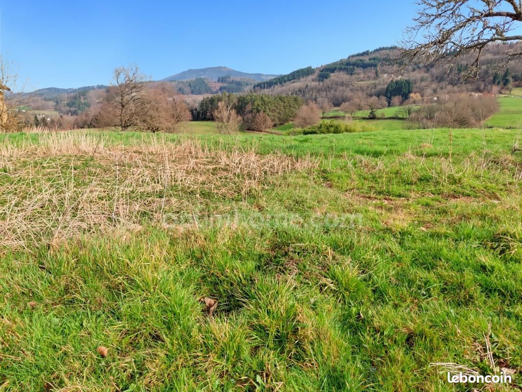 Terrain 2 975 m² Augerolles (image 7)